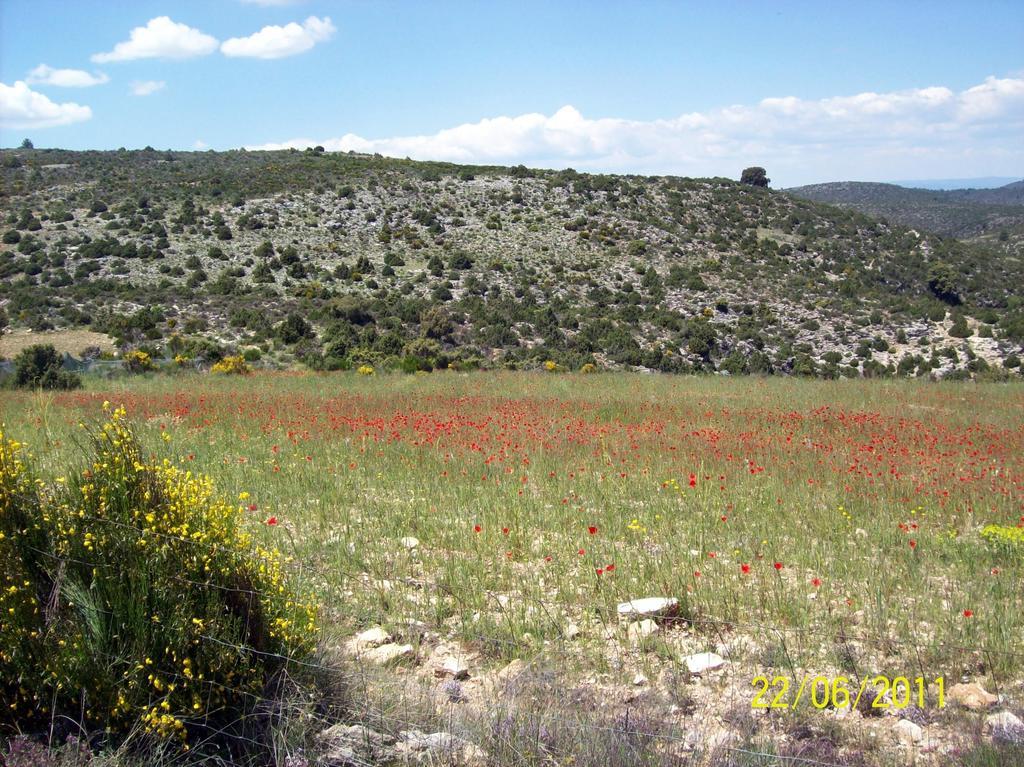 Sol Mediterraneo Archena Luaran gambar