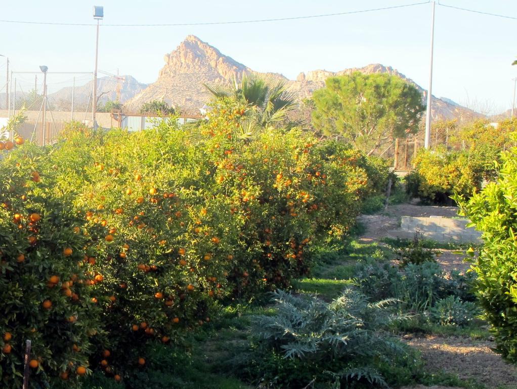 Sol Mediterraneo Archena Luaran gambar