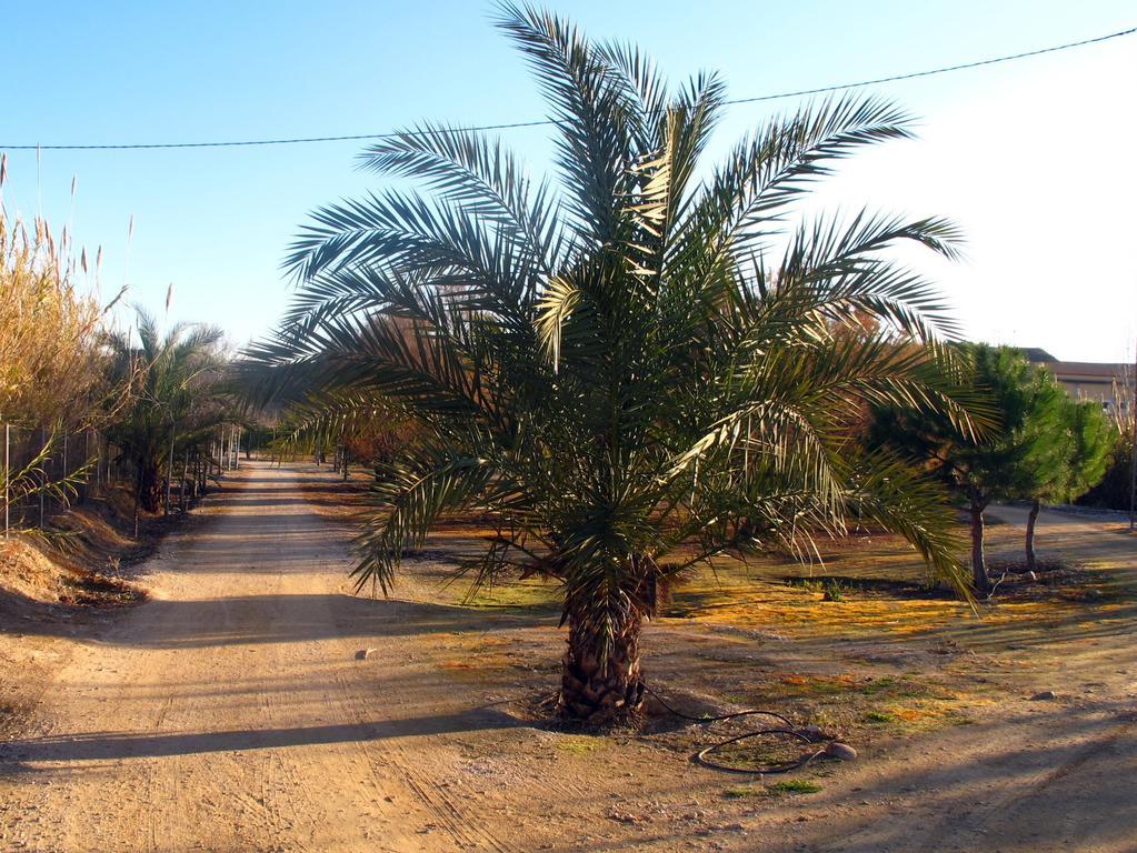 Sol Mediterraneo Archena Luaran gambar